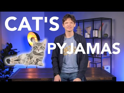 The Cat’s Pyjamas | English idiom to sound like a native speaker