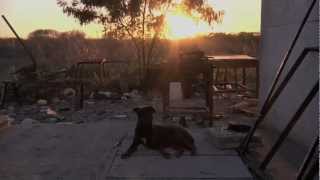 El Velador (The Night Watchman) - Documentary Trailer - POV 2012 | PBS