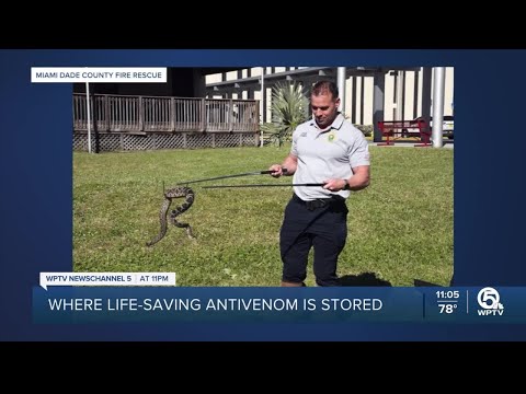 Largest anti-venom bank is in Miami-Dade County
