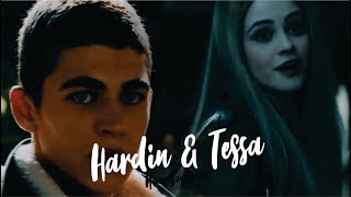 ►Hardin + Tessa | Never Say Never