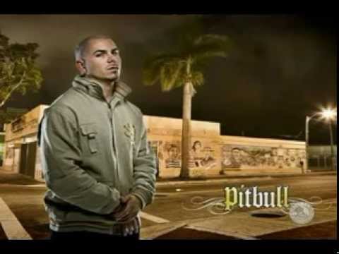 Dmingo Pitbull Y Tony Touch - Guatauba University Mixtape