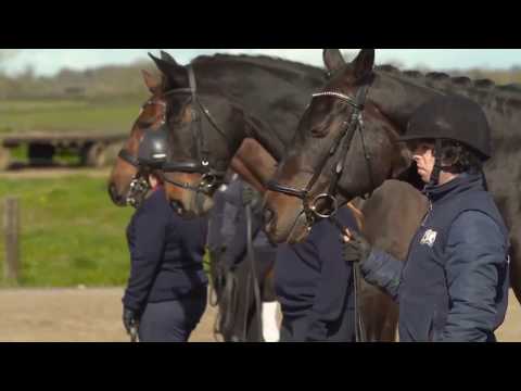 Enricque Iglesias Subeme La Video aus Blue Chip all Star Academy