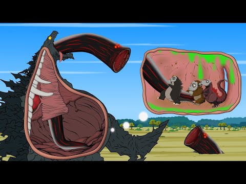 Rescue GODZILLA EARTH From GODZILLA & KONG: Battling GIANT PYTHON Intruder Inside Digestive Tract