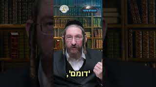 💎הווארט היומי - לעלות את הבריאה, ה' טבת תשפ"ו | הרב ישראל דוד כהן (ארגון קול הלשון) - התמונה מוצגת ישירות מתוך אתר האינטרנט יוטיוב. זכויות היוצרים בתמונה שייכות ליוצרה. קישור קרדיט למקור התוכן נמצא בתוך דף הסרטון