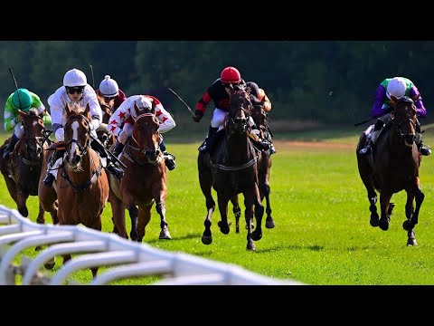 ŽIVĚ 🔴 | dostihy Karlovy Vary – 18. 6. 2023