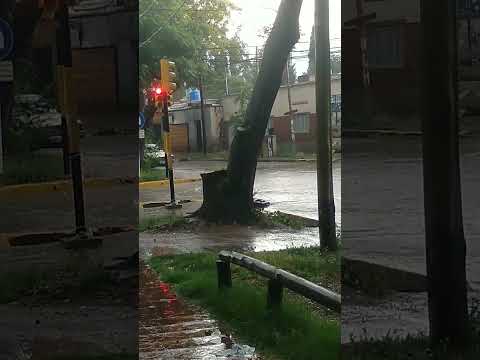 Acumuló en Las Heras, Mendoza 16:51 hs