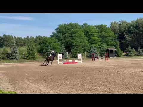 Charlie video 7