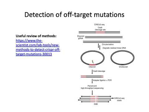 MCB 182 Lecture 4.5 - CRISPR-Cas9 practical considerations, applications