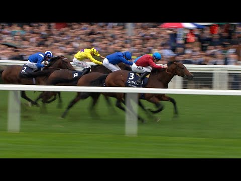 Baaeed is beaten on final career start as BAY BRIDGE lands Champion Stakes | Champions Day 2022