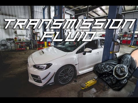 Transmission and Differential Fluid Change | Motul Gear Oil - 2016 2018 Subaru WRX & STI