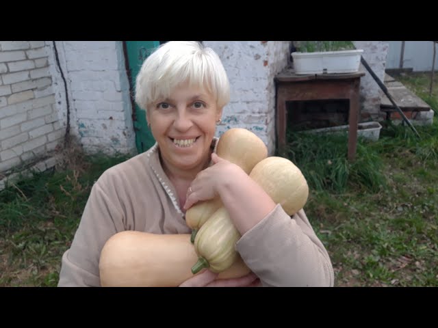 Youtube Video Youtube Video