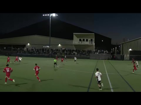 bg-highlight
