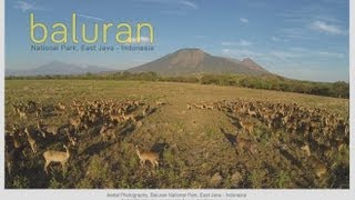 Baluran National Park - Beautiful Indonesia [Aerial Cinematography]