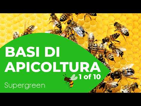 download lagu mp3 mp4 Diventare Agronomo, download lagu Diventare Agronomo gratis, unduh video klip Diventare Agronomo