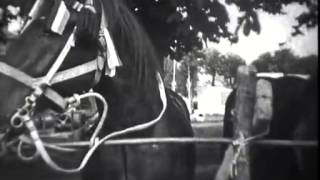 preview picture of video 'Comice agricole à Brou en 1939 (version commentée)'