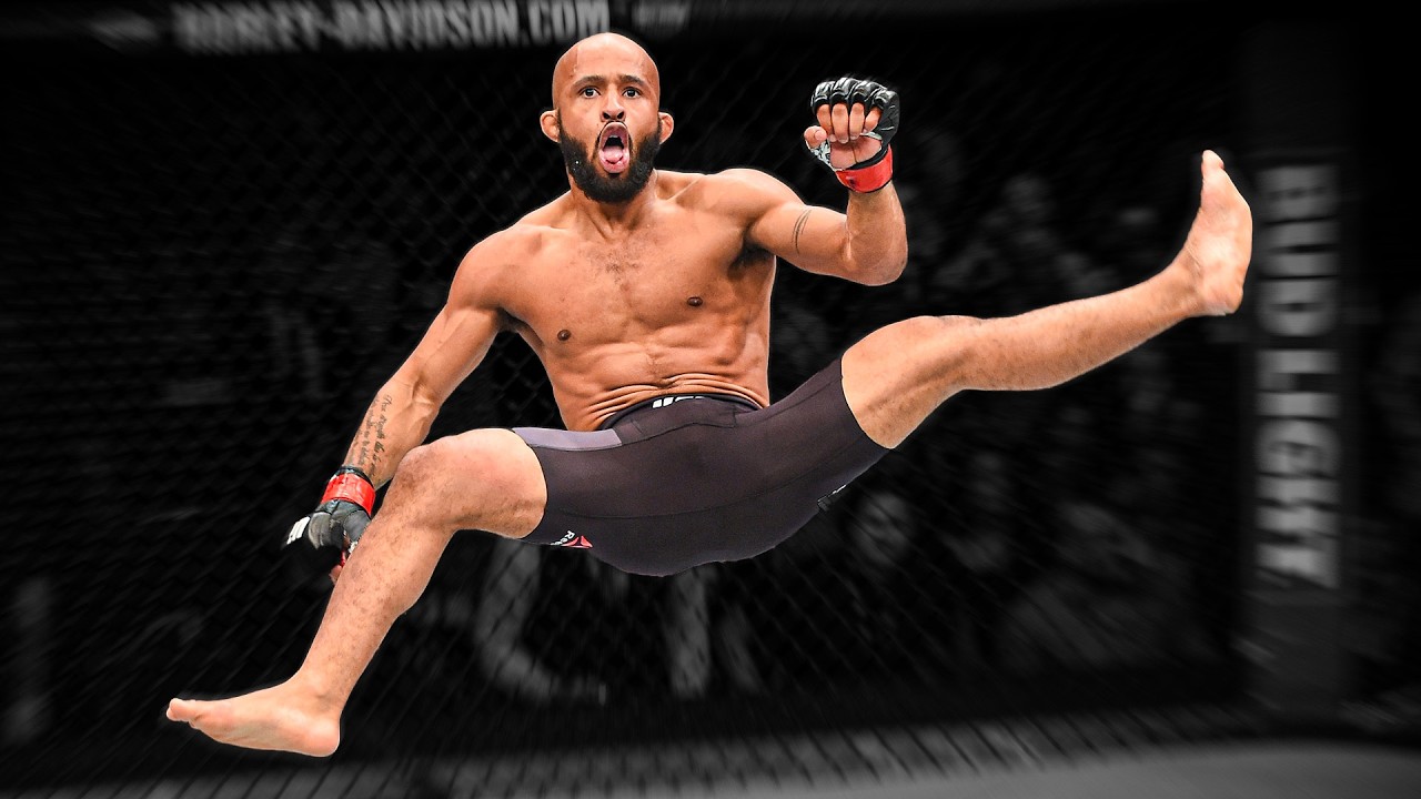 UFC video artwork
