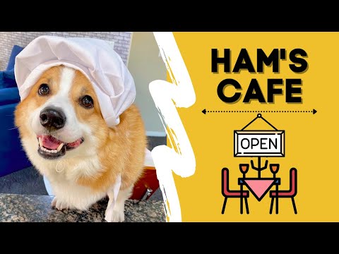 Corgis Restaurant