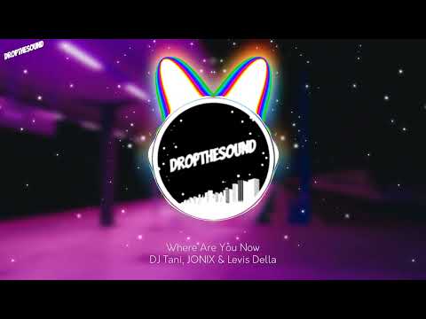 DJ Tani, JONIX & Levis Della - Where Are You Now