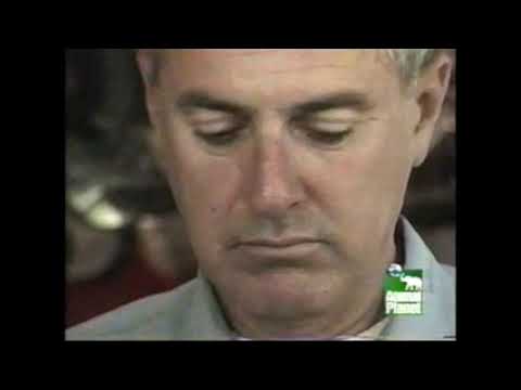 The Most Extreme  - Collectors