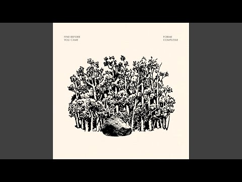 Forme Complesse - Fine Before You Came