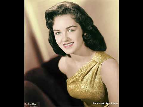 1950s Rock n Roll,  Rockabilly,  Doo Wop, Car`s and Diner`s.