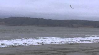 Groovin' High - Marc Antoine (Smooth Jazz Family)