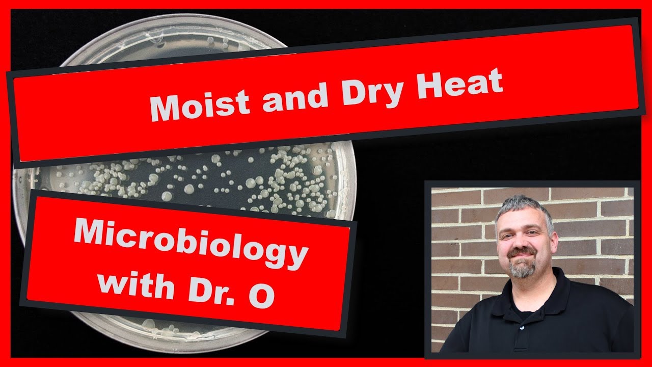 Moist Heat and Dry Heat to Control Growth:  Microbiology