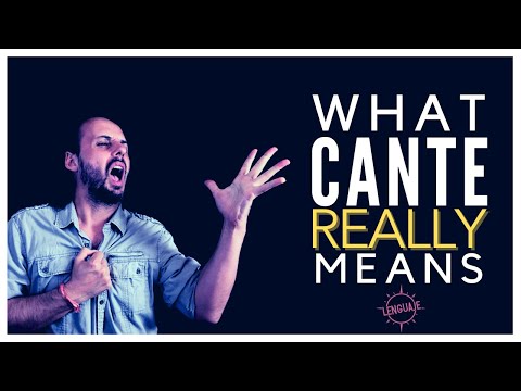 9 Different Meanings of "Cante" | Understand the Flamenco Vocabulary, Culture and System