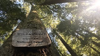 preview picture of video 'Drift Creek Wilderness backpacking trip (Oregon)'