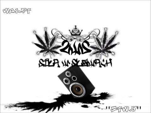 SWS(Siwy & Wld) - Rzeczywistość chora