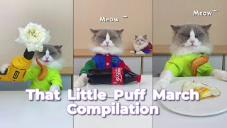 That Little Puff Compilation | March collection