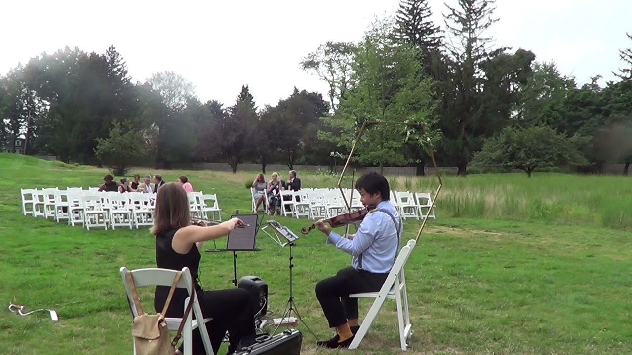 Promotional video thumbnail 77 for Xinou Wei Strings