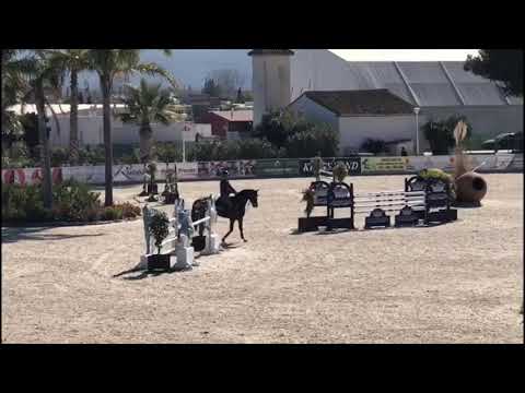 Poden Farm’s Dacantos 6yr MET Tour