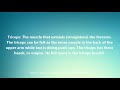 Triceps Medical Definition And Pronunciation