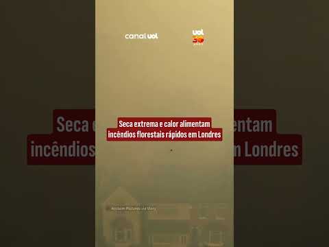 Incêndios em vegetação destroem mais de 12 hectares no leste de Londres