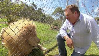 preview picture of video 'The Unique Locals At Mogo Zoo - Coxy's Big Break'