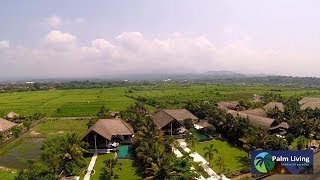 preview picture of video 'Palm Living - Bali Villa Sheeba - For Rent in Bali'