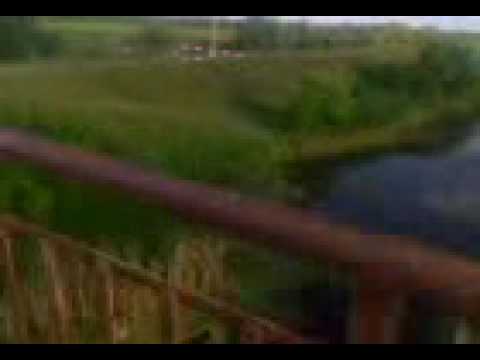 Canal Colector-pod Homorog