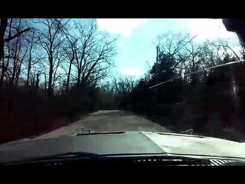 1967 Ford Mustang sometimes you have to drive it like you stole it