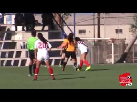 Juventus Manchester State VS Nogales United Sonora - Semifinal Copa Baja 2015