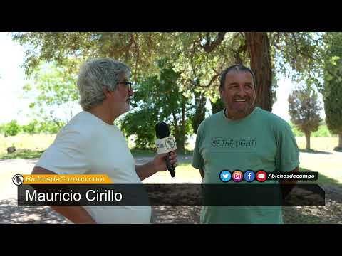 Mauricio Cirillo, productor de frutas y forrajes de Luis Beltrán, en Río Negro