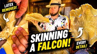 Cutting Latex Molds Like a Pro: No More Ruined Casts