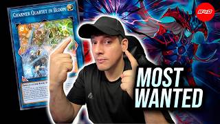 ¡5 días para el WCQ de USA! LOCURA HYPE