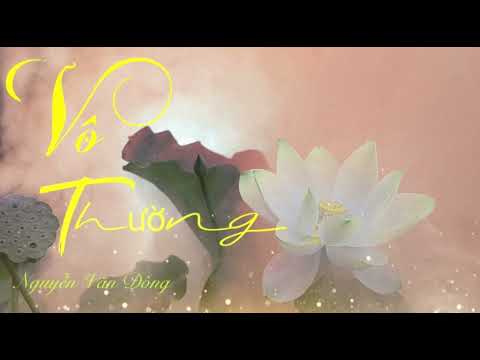 Vô thường - Trần Tuấn Kiệt