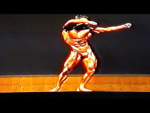 Karl Link - EM - 1987