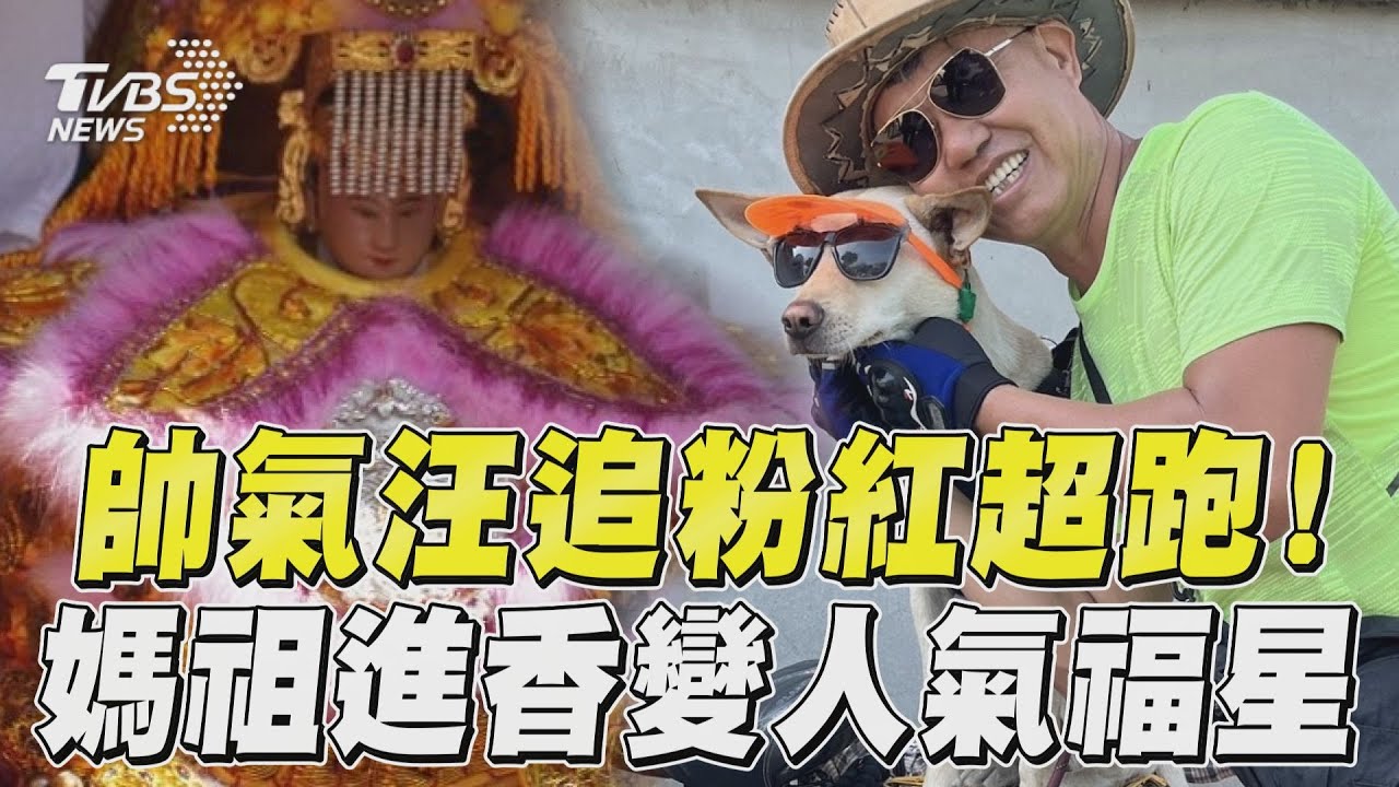 影音/萌寵帥氣汪追粉紅超跑! 白沙屯媽進香人狗high隨行