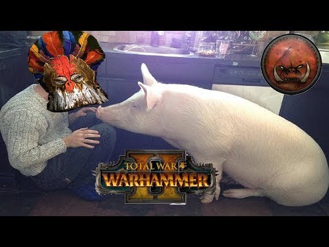 WILD BOARS | Greenskins vs High Elves: Mortal Empires - Total War Warhammer 2