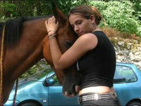 mon cheval et moi 2 wii amazon