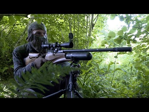 The Airgun Show – summer squirrels with the Daystate Red Wolf PLUS PAO Emerald Compact SWAT on test