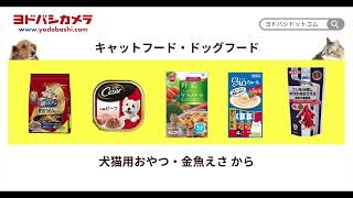 20240805_Yodobashi.com_ペット用品_TypeA（背景画像なし）